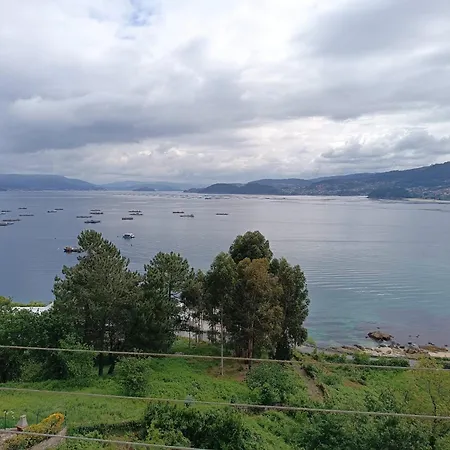 Piso Bellavista شقة